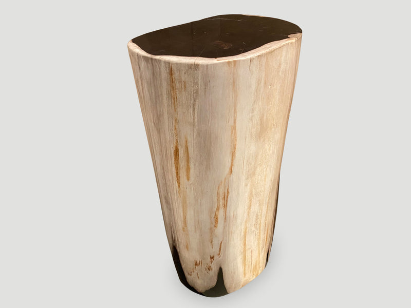 Super Smooth High Quality Petrified Wood Side Table or Pedestal
