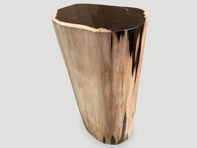 Super Smooth High Quality Petrified Wood Side Table or Pedestal