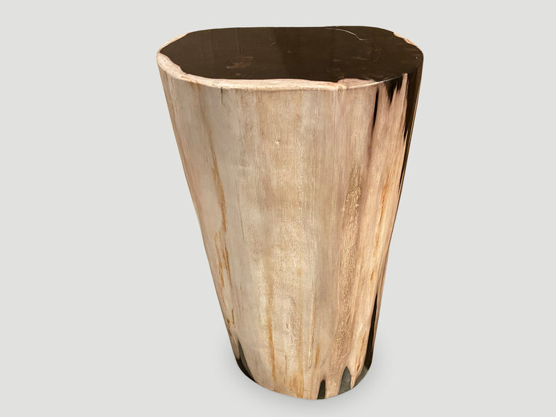 Super Smooth High Quality Petrified Wood Side Table or Pedestal