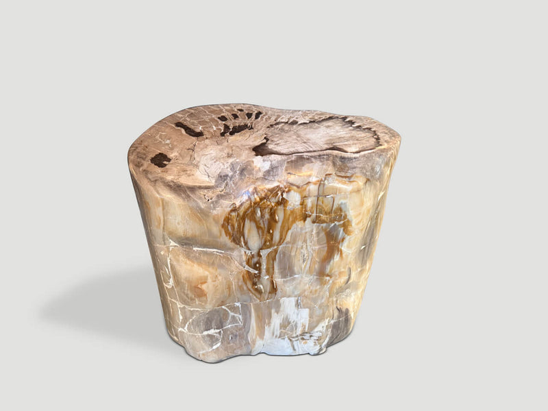 Ancient Petrified Wood Side Table