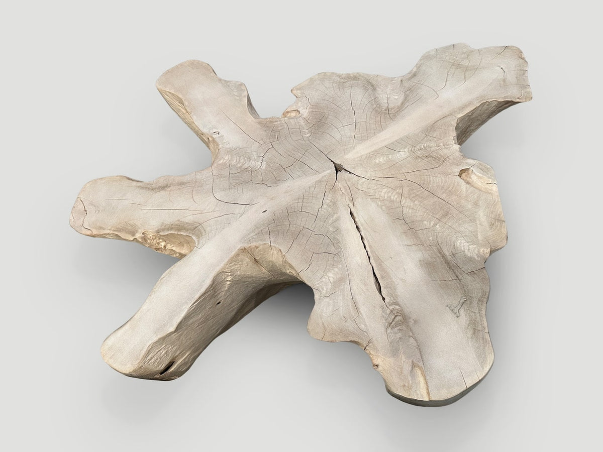 Amorphous Bleached Teak Coffee Table