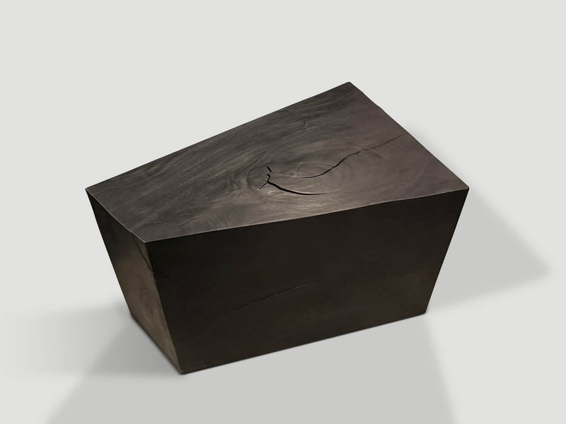 Modern Organic Charred Side Table or Coffee Table