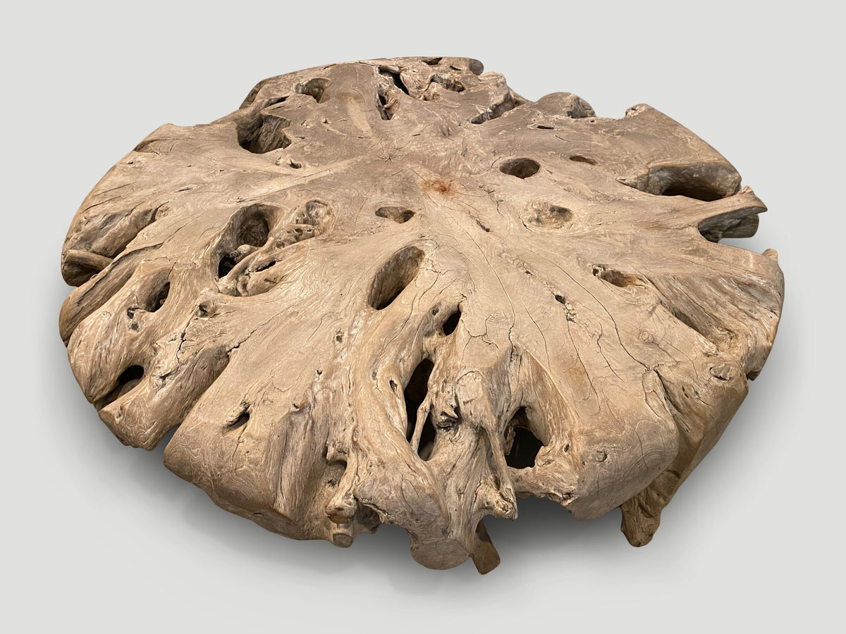 Impressive Large Teak Root Coffee Table