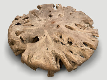 Impressive Large Teak Root Coffee Table