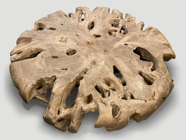 Impressive Large Teak Root Coffee Table