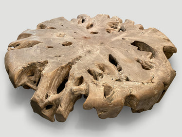 Impressive Large Teak Root Coffee Table