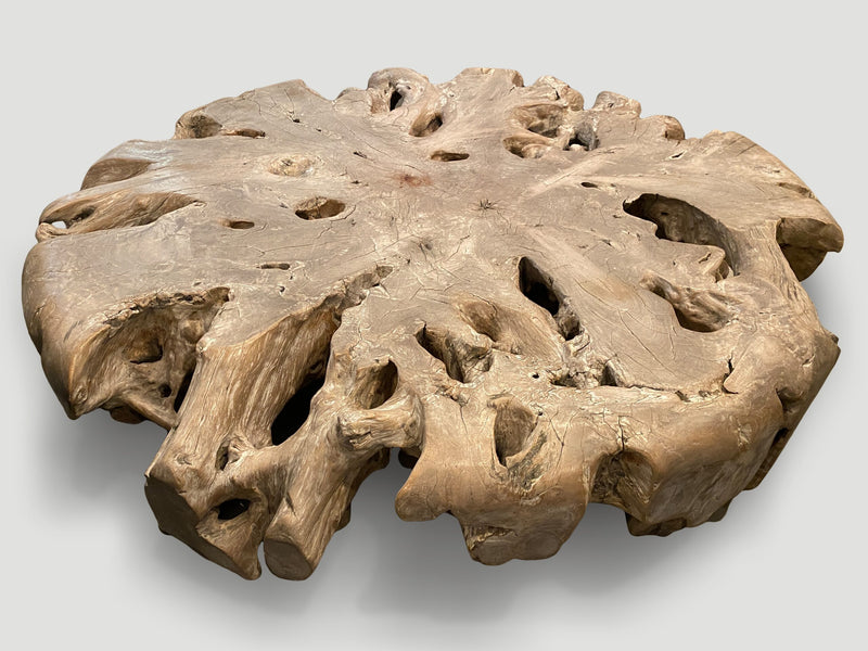 Impressive Large Teak Root Coffee Table