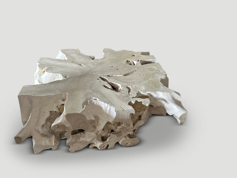 Monumental Bleached Organic Root Coffee Table