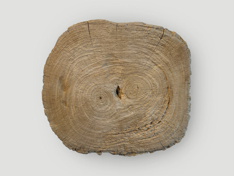 Rare Bleached Teak Slab