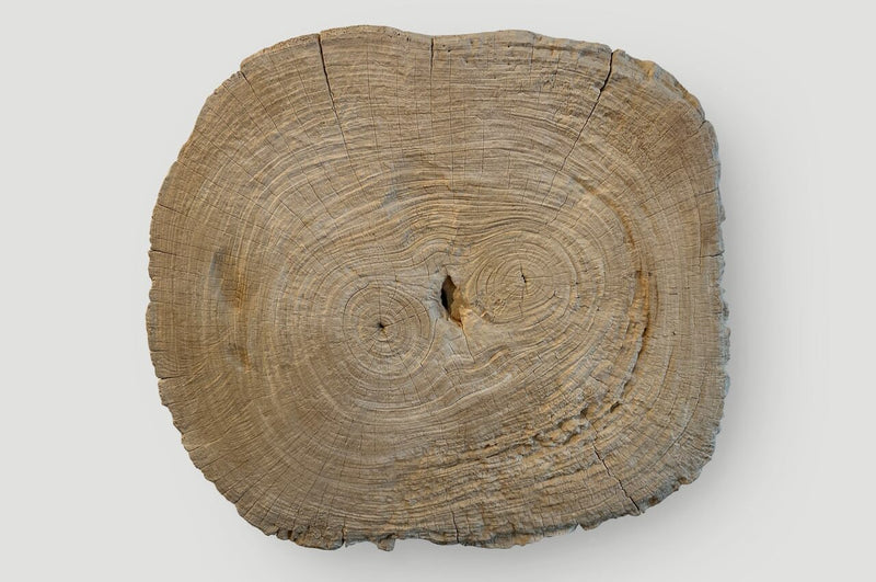 Rare Bleached Teak Slab