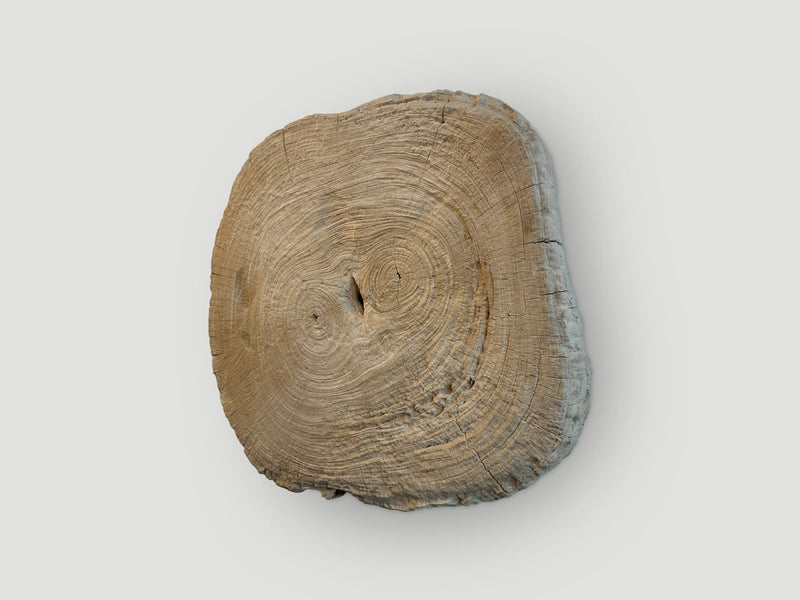 Rare Bleached Teak Slab