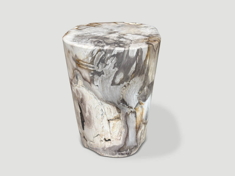 Ancient Petrified Wood Side Table