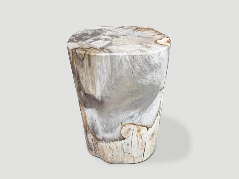 Ancient Petrified Wood Side Table