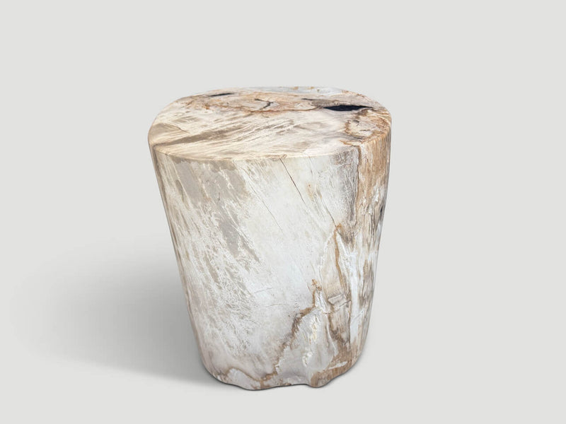 Ancient Petrified Wood Side Table