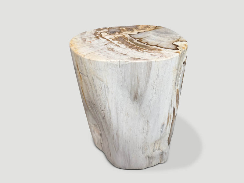 Ancient Petrified Wood Side Table
