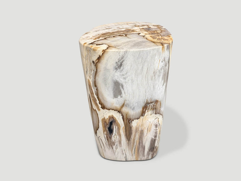 Ancient Petrified Wood Side Table