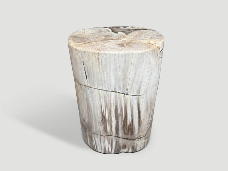 Ancient Petrified Wood Side Table