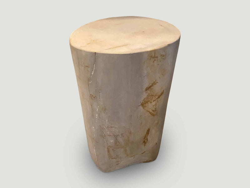 Super Smooth High Quality Petrified Wood Side Table
