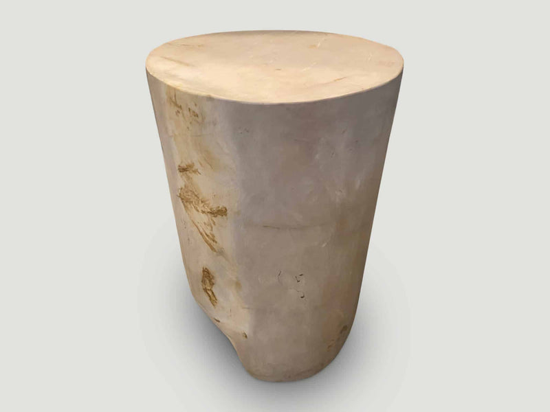 Super Smooth High Quality Petrified Wood Side Table