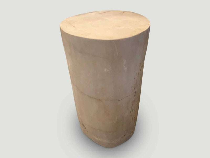Super Smooth High Quality Petrified Wood Side Table