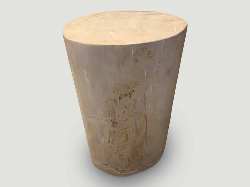 Super Smooth High Quality Petrified Wood Side Table