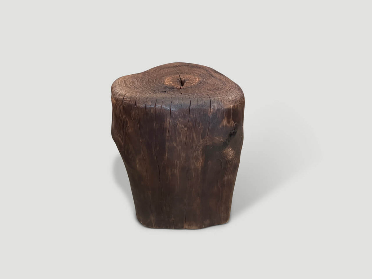 Modern Organic Charred Tall Side Table