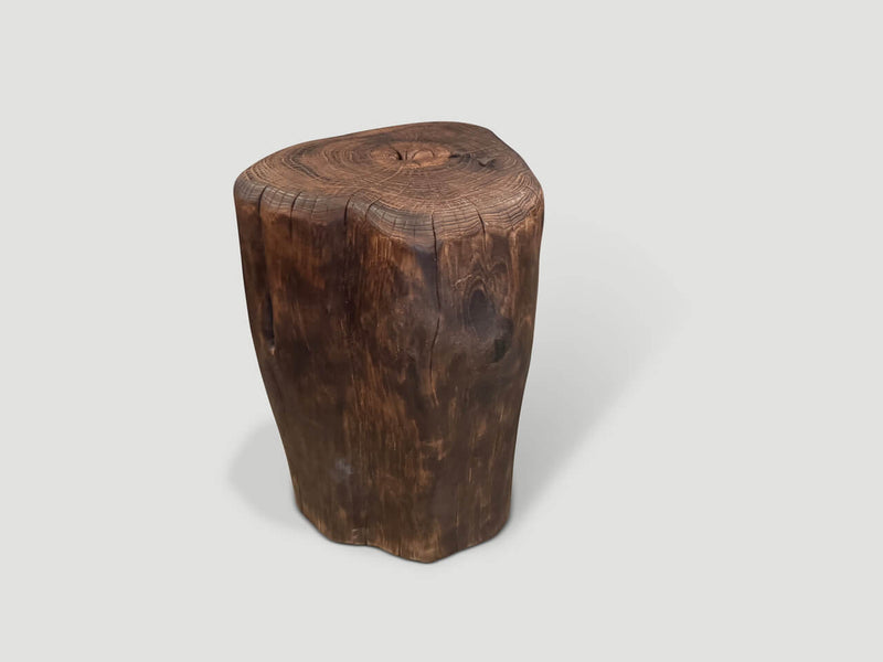 Modern Organic Charred Tall Side Table