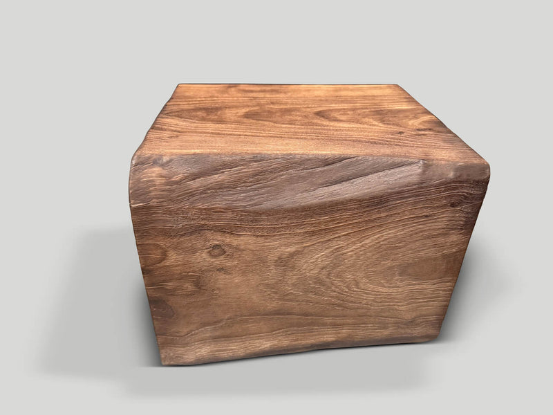 Modern Organic Lightly Charred Side Table