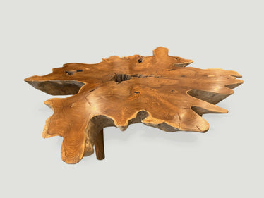Organic Root Coffee Table