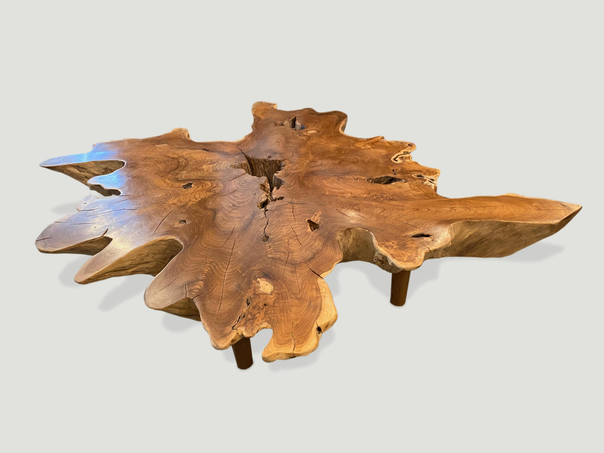 Organic Root Coffee Table