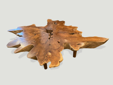 Organic Root Coffee Table