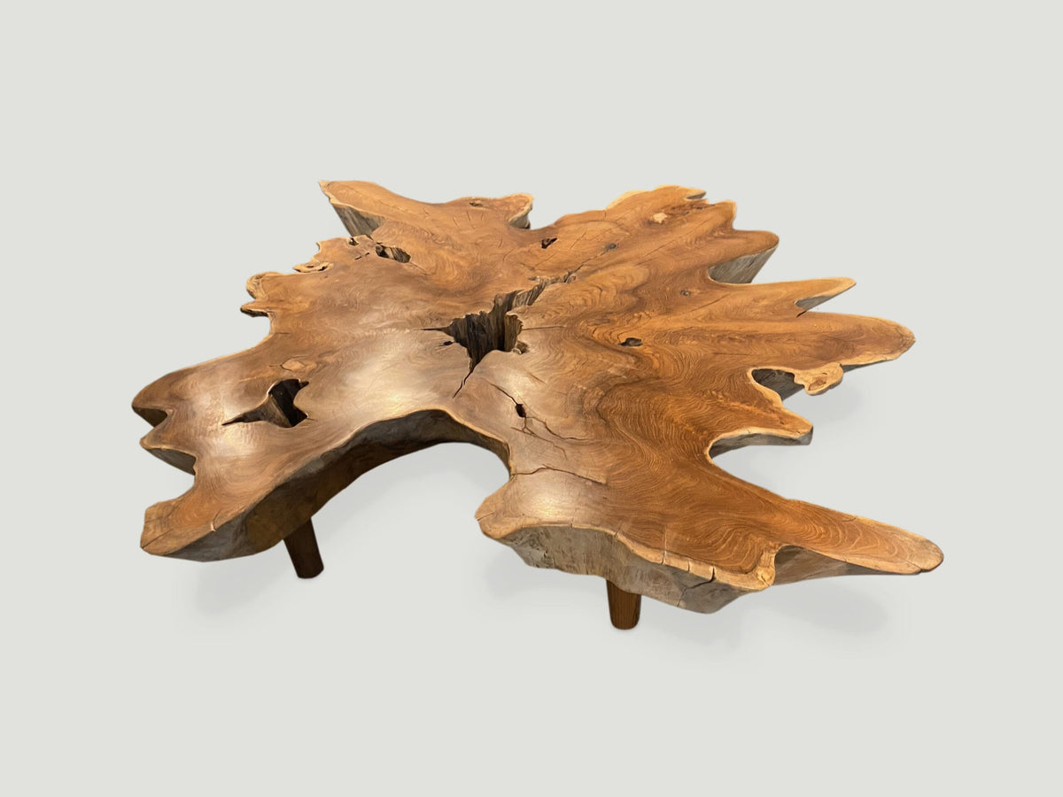 Organic Root Coffee Table