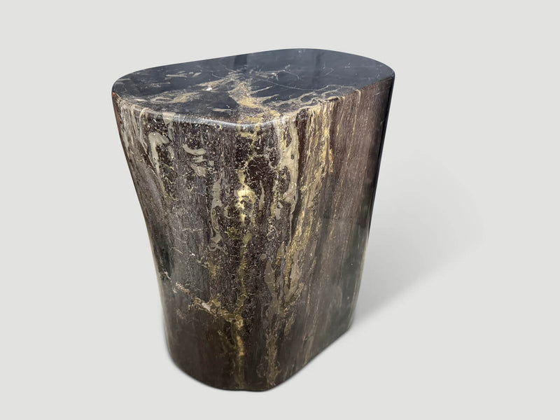 Impressive Ancient Petrified Wood Side Table