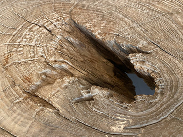 Impressive Log Style Console Table