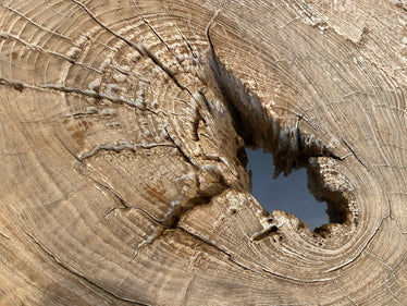 Impressive Log Style Console Table