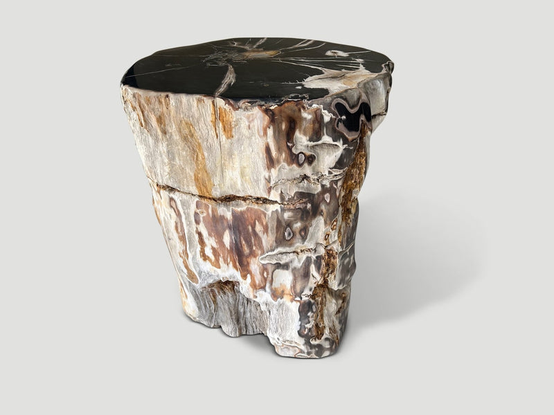 Impressive Petrified Wood Side Table or Pedestal