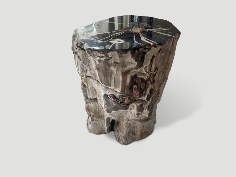 Impressive Petrified Wood Side Table or Pedestal