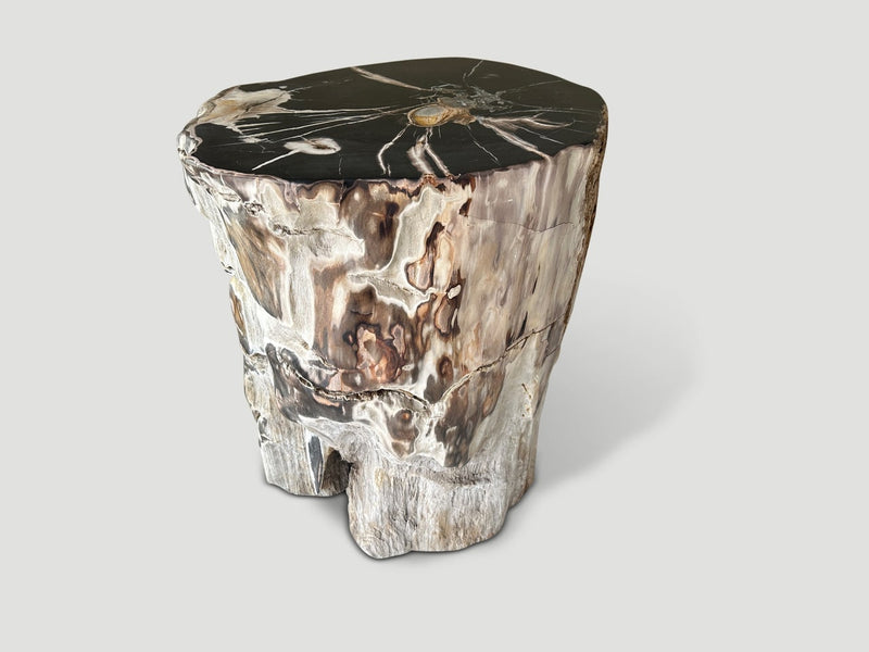 Impressive Petrified Wood Side Table or Pedestal