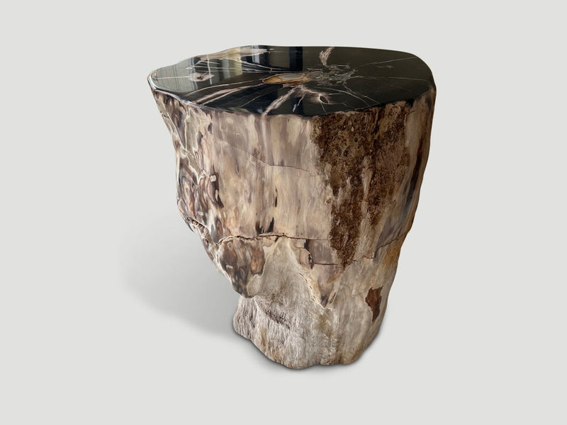 Impressive Petrified Wood Side Table or Pedestal
