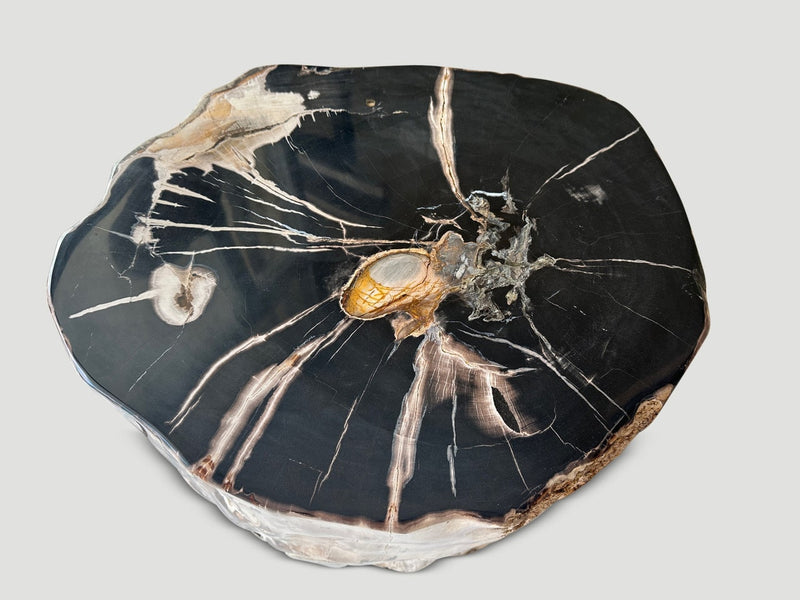 Impressive Petrified Wood Side Table or Pedestal