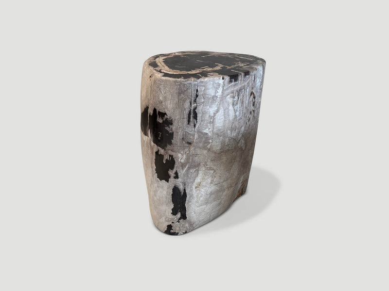 Ancient Grey Petrified Wood Side Table