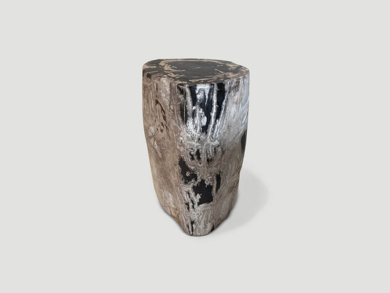 Ancient Grey Petrified Wood Side Table