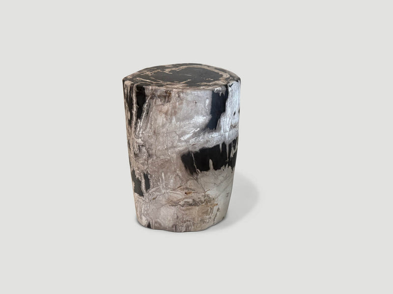 Ancient Grey Petrified Wood Side Table
