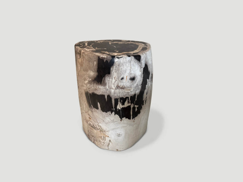 Ancient Grey Petrified Wood Side Table