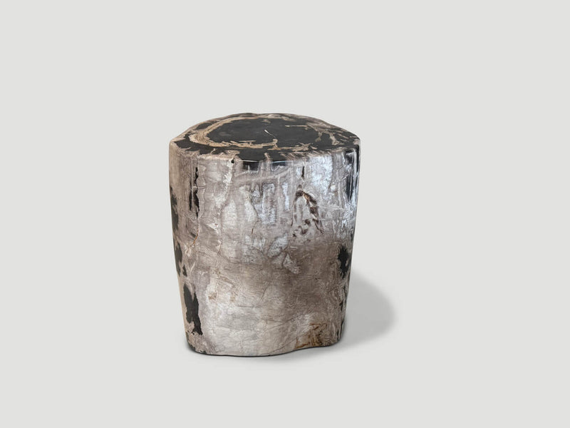 Ancient Grey Petrified Wood Side Table
