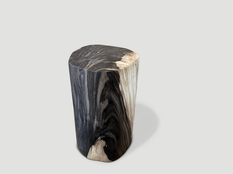 Exquisite Super Smooth Petrified Wood Side Table