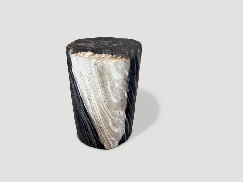 Exquisite Super Smooth Petrified Wood Side Table