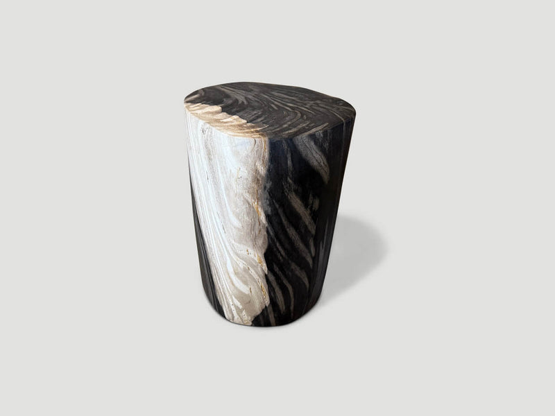 Exquisite Super Smooth Petrified Wood Side Table