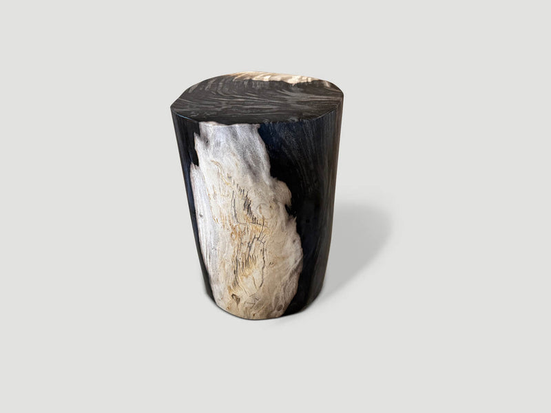 Exquisite Super Smooth Petrified Wood Side Table