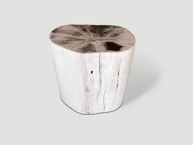 Exquisite Petrified Wood Side Table